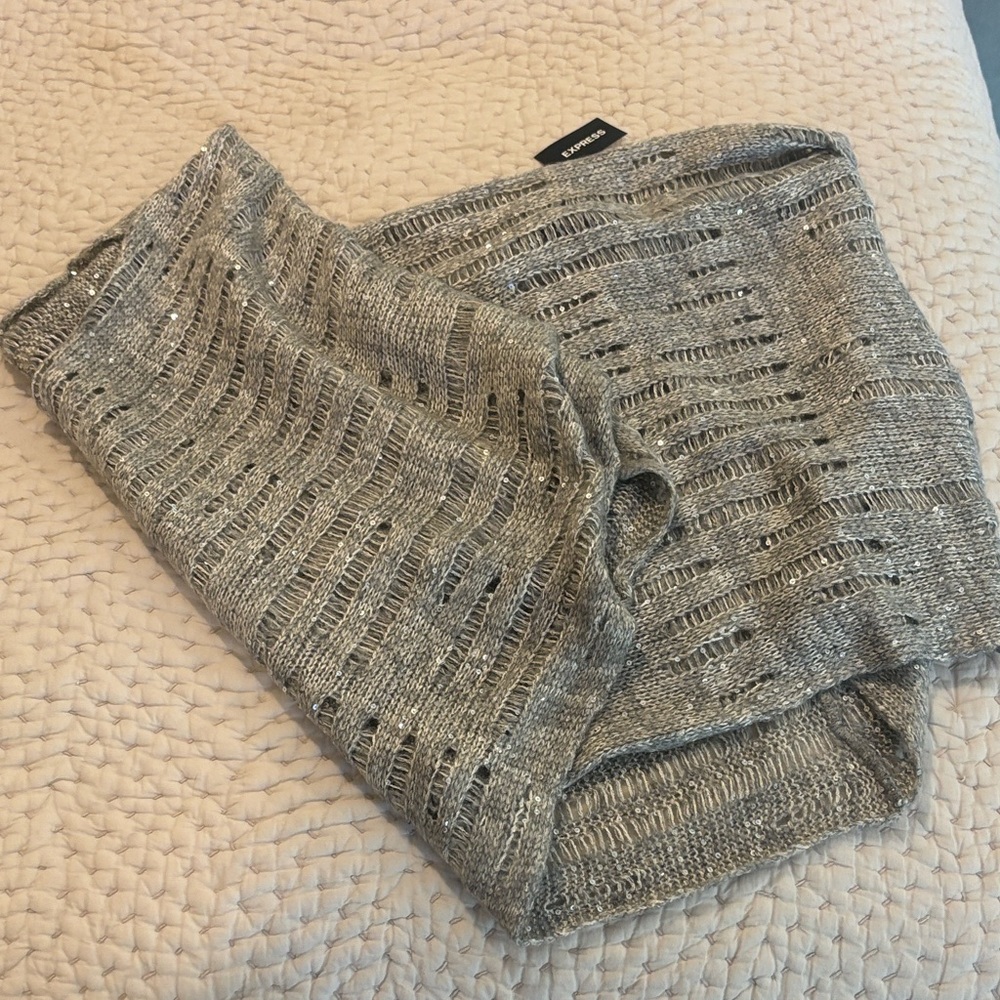 Express Silver Sequin Knit Scarf